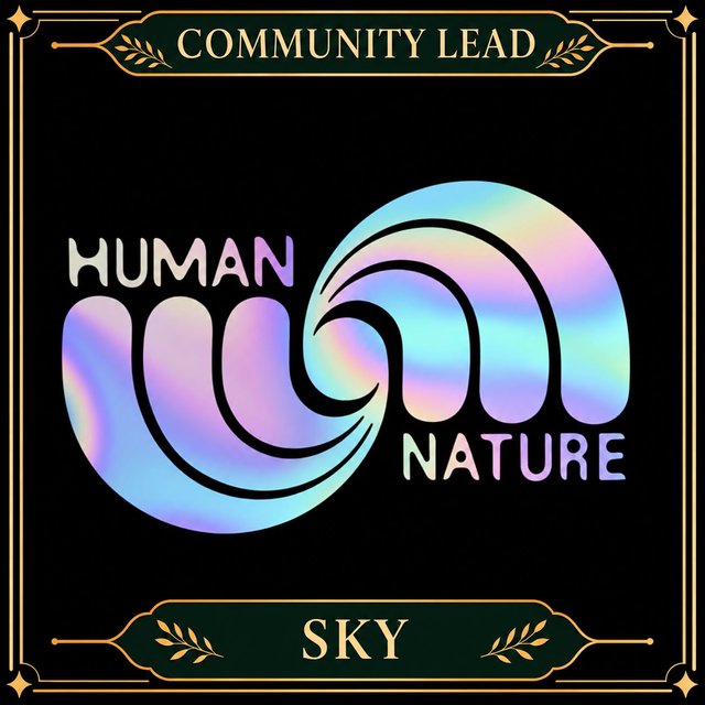 Sky, Integral Psychedelic Community community lead